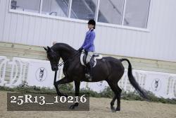 25R13_10216 thumbnail