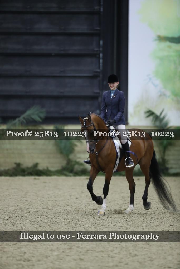 Proof Number 25R13_10223