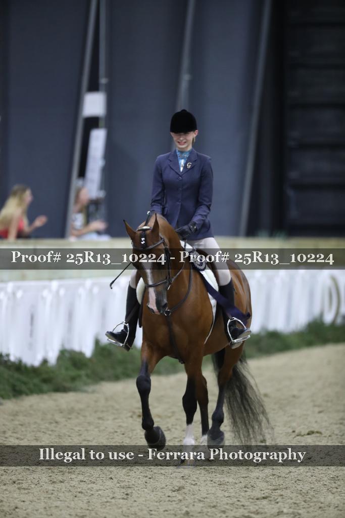 Proof Number 25R13_10224