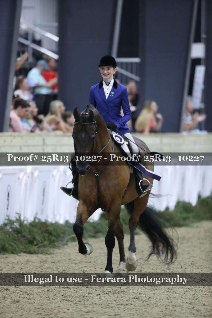Proof Number 25R13_10227