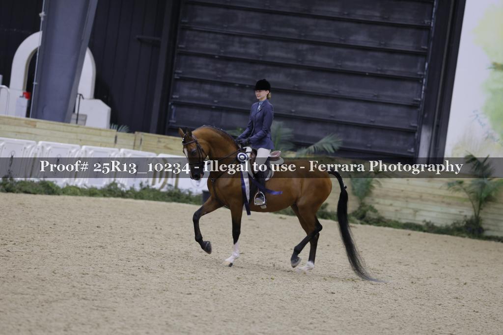 Proof Number 25R13_10234