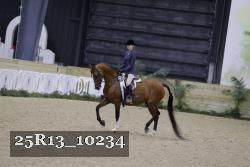 25R13_10234 thumbnail