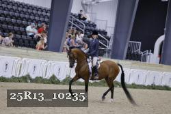 25R13_10235 thumbnail