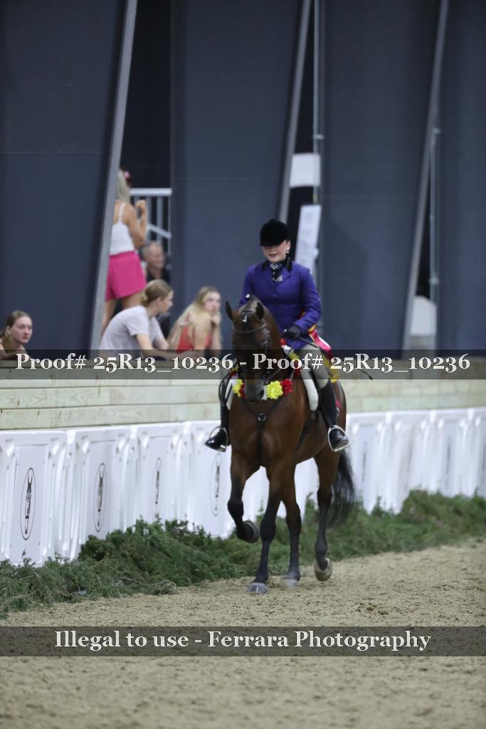 Proof Number 25R13_10236
