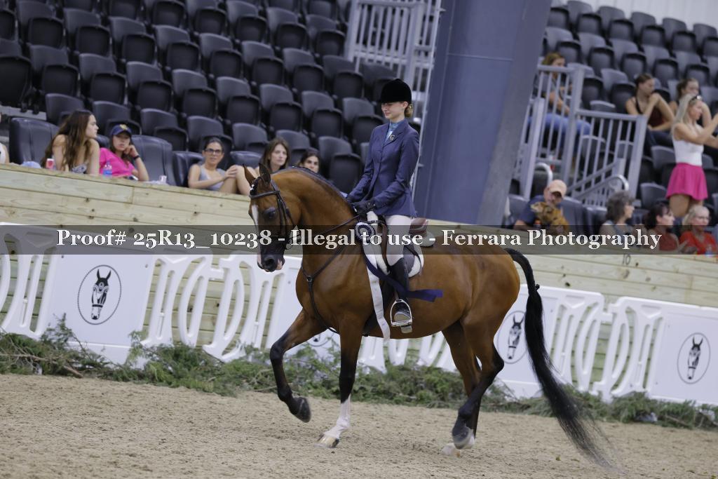 Proof Number 25R13_10238