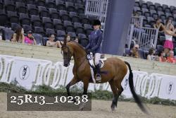 25R13_10238 thumbnail