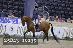 25R13_10239 thumbnail