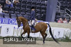 25R13_10241 thumbnail