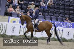 25R13_10242 thumbnail