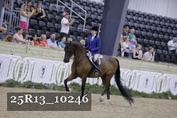 25R13_10246 thumbnail