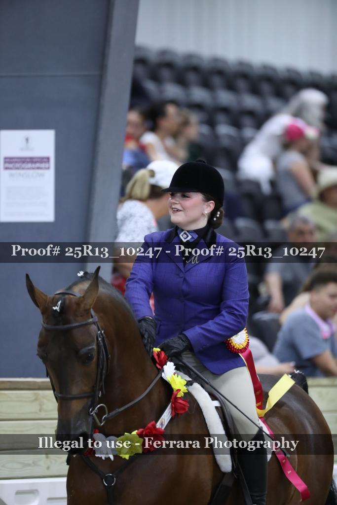 Proof Number 25R13_10247