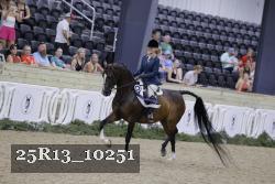 25R13_10251 thumbnail