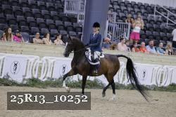 25R13_10252 thumbnail