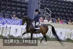 25R13_10253 thumbnail