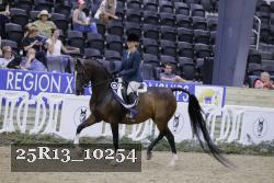 25R13_10254 thumbnail