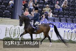 25R13_10256 thumbnail