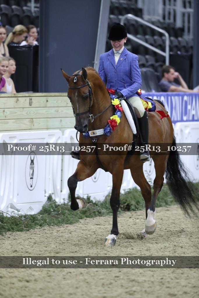 Proof Number 25R13_10257