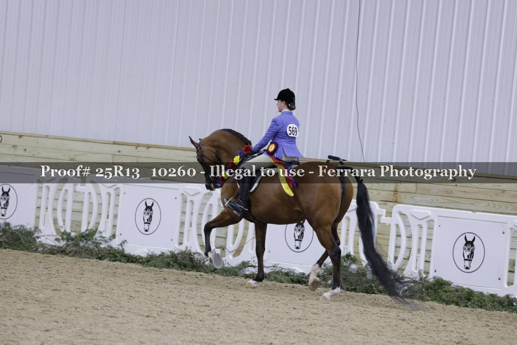 Proof Number 25R13_10260