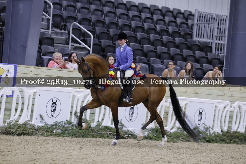 Proof Number 25R13_10271