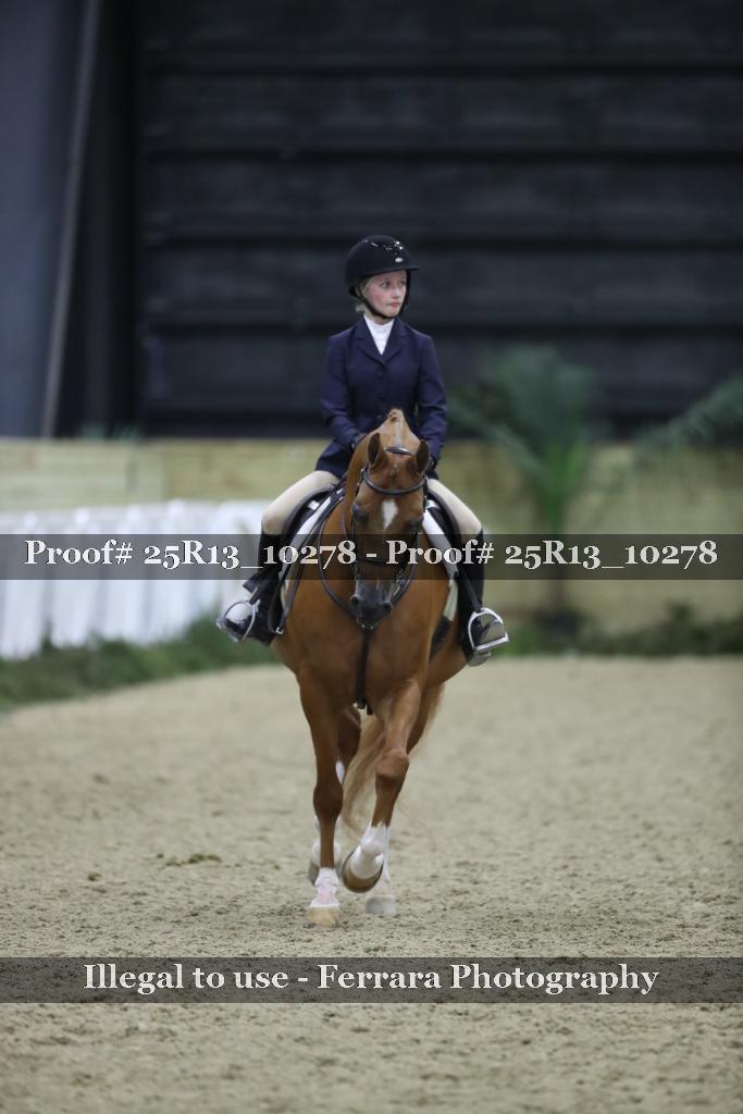 Proof Number 25R13_10278