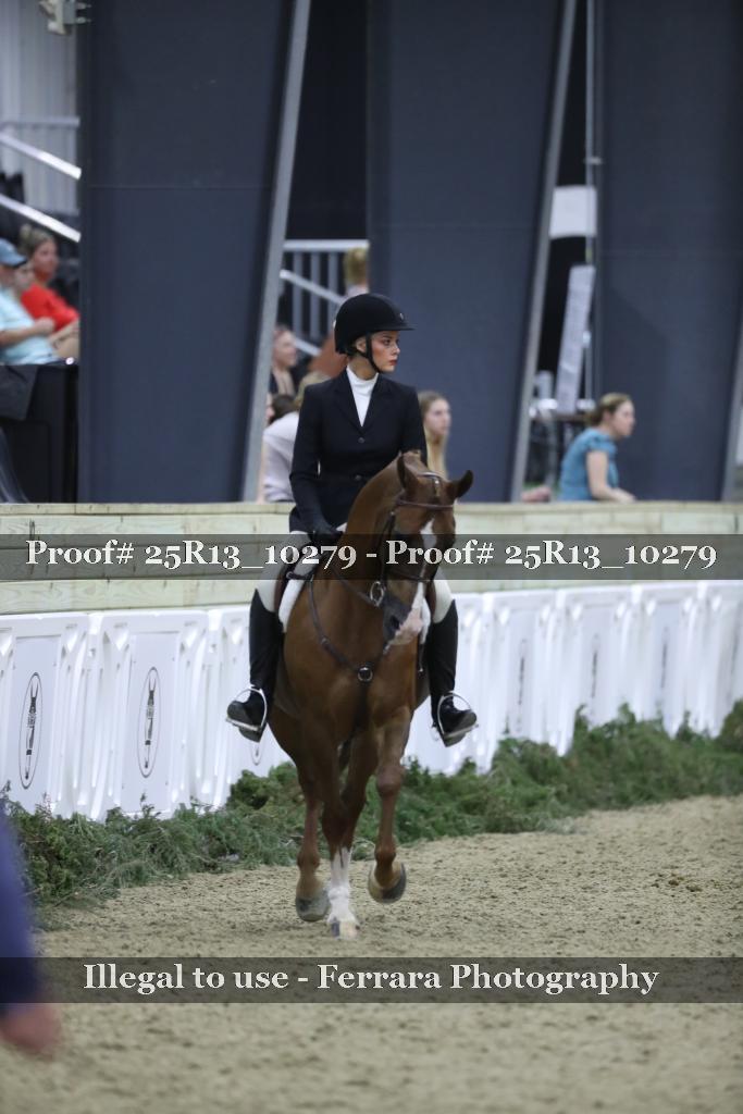 Proof Number 25R13_10279