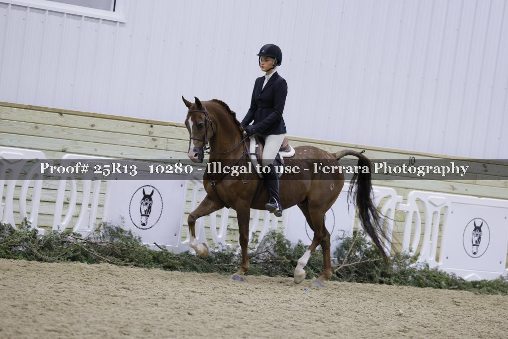 Proof Number 25R13_10280
