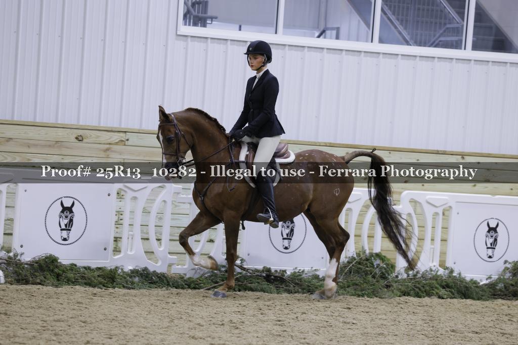 Proof Number 25R13_10282