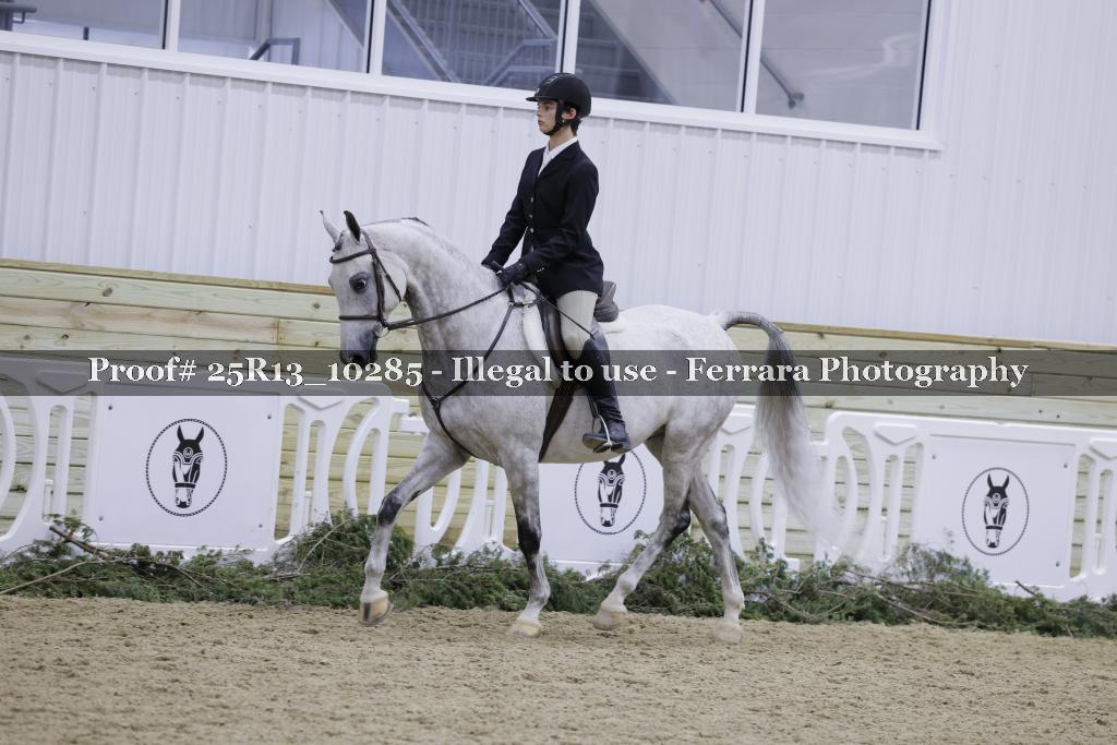 Proof Number 25R13_10285