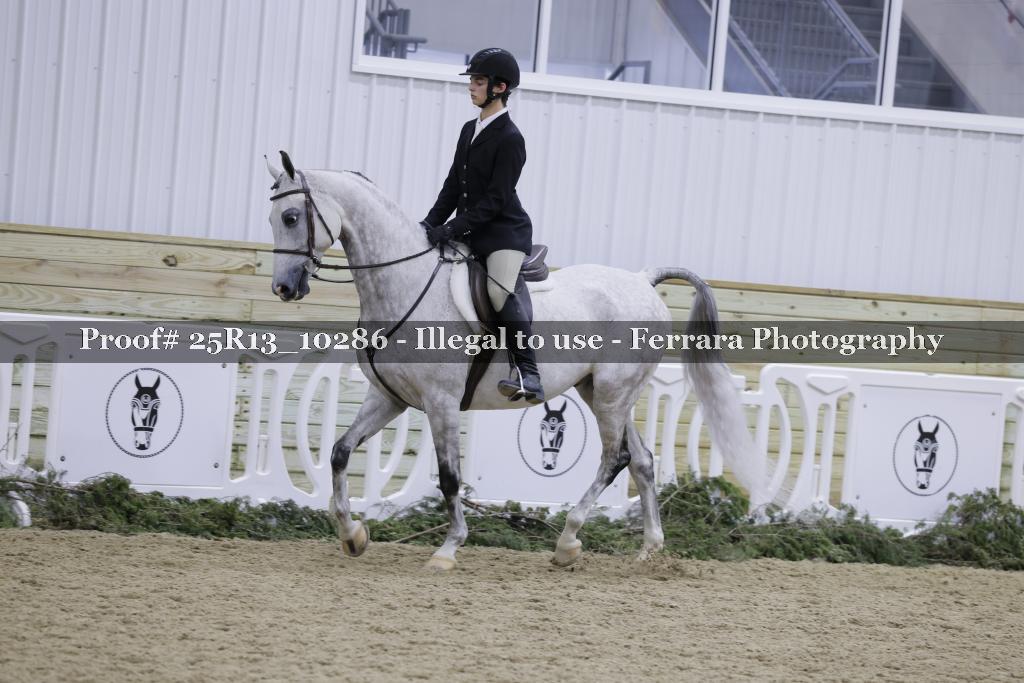Proof Number 25R13_10286