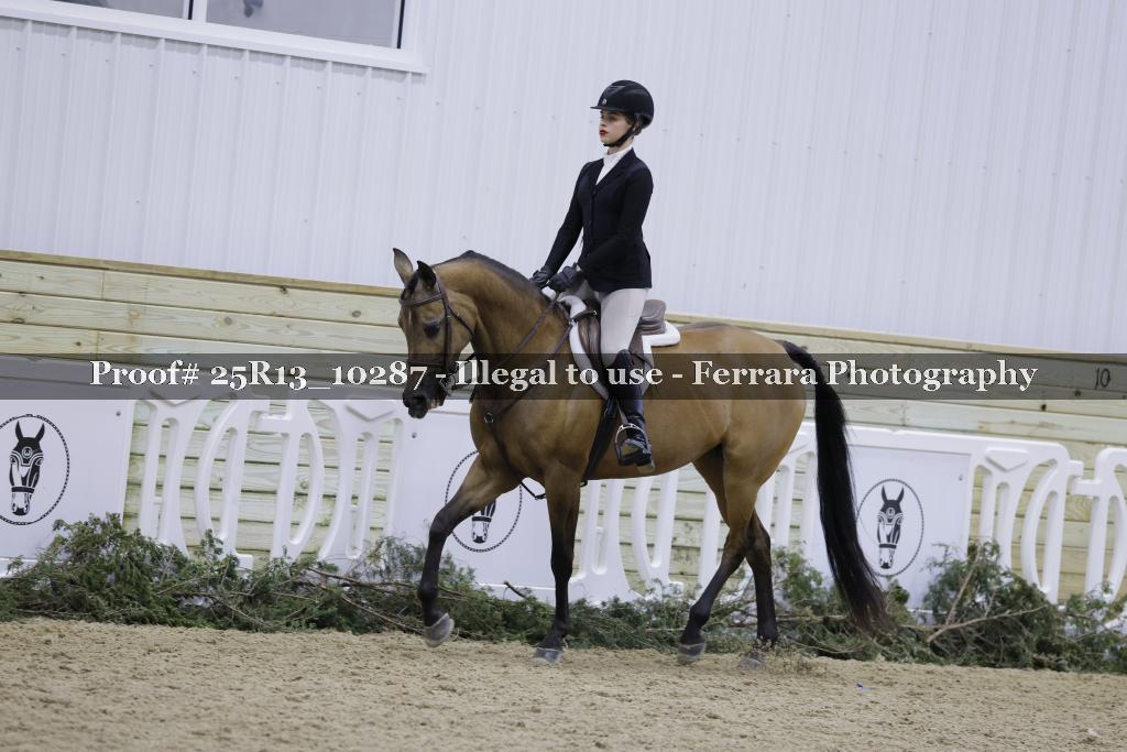 Proof Number 25R13_10287