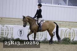 25R13_10289 thumbnail