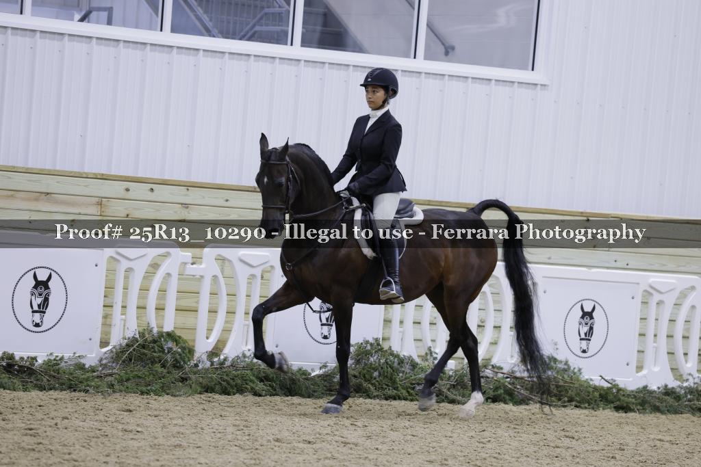 Proof Number 25R13_10290