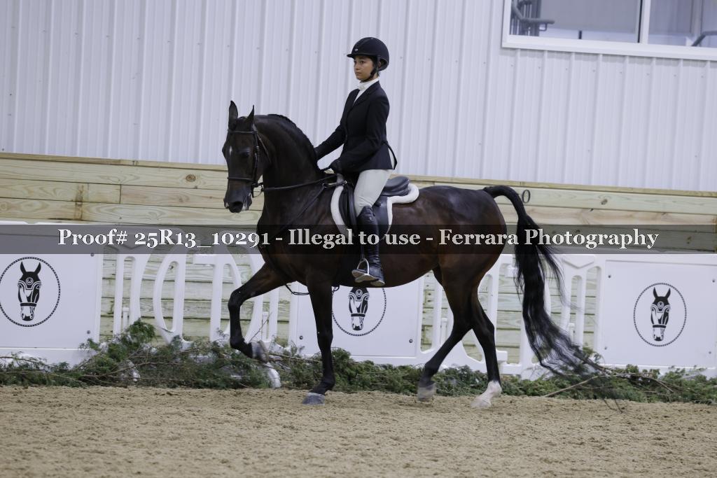 Proof Number 25R13_10291