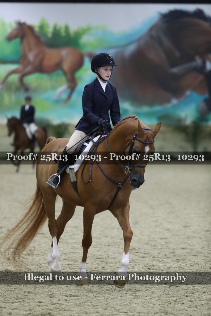 Proof Number 25R13_10293
