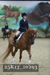 25R13_10293 thumbnail