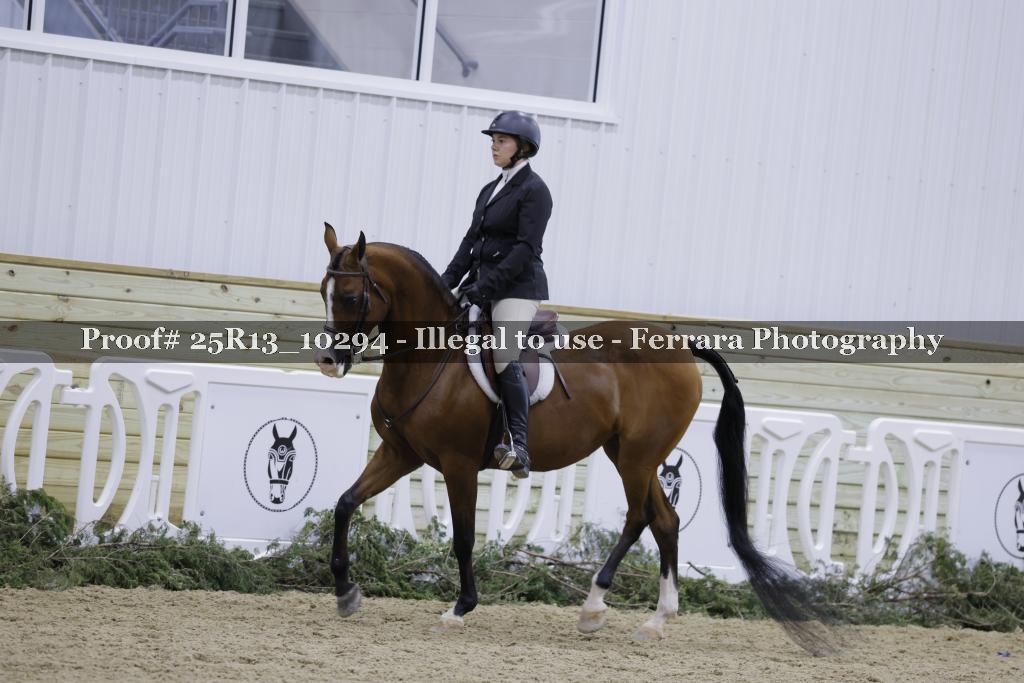 Proof Number 25R13_10294