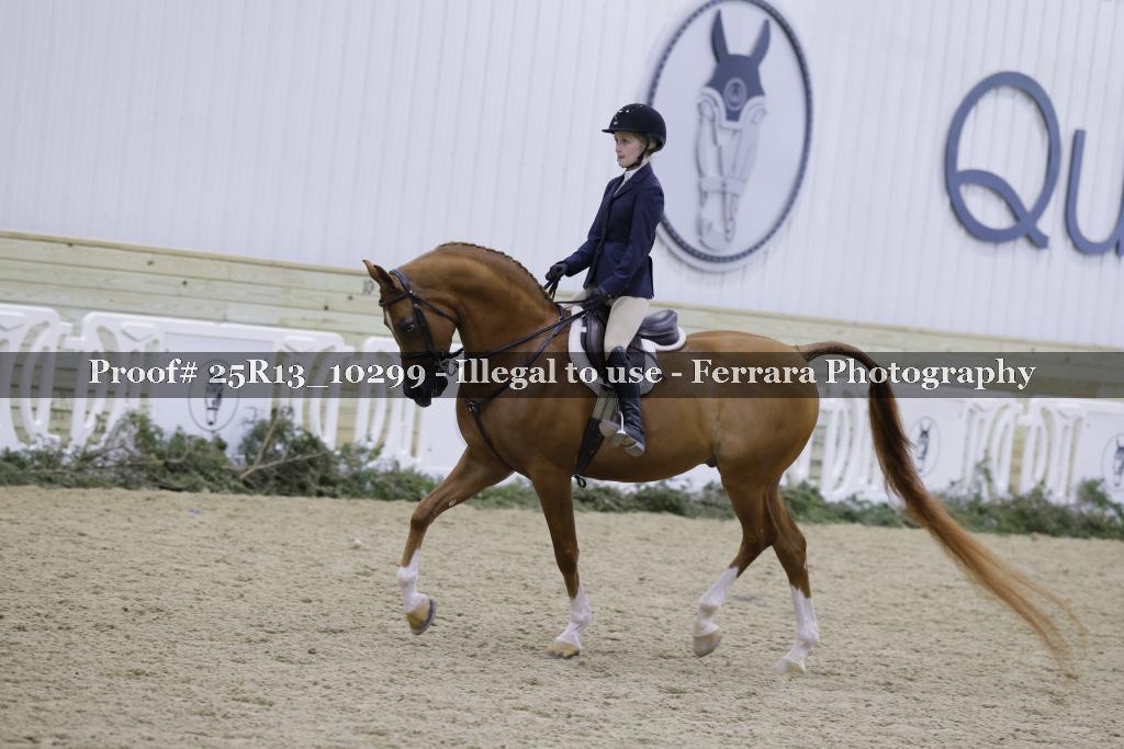 Proof Number 25R13_10299