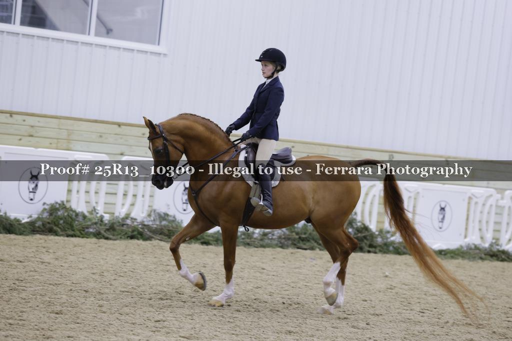 Proof Number 25R13_10300