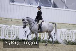 25R13_10301 thumbnail