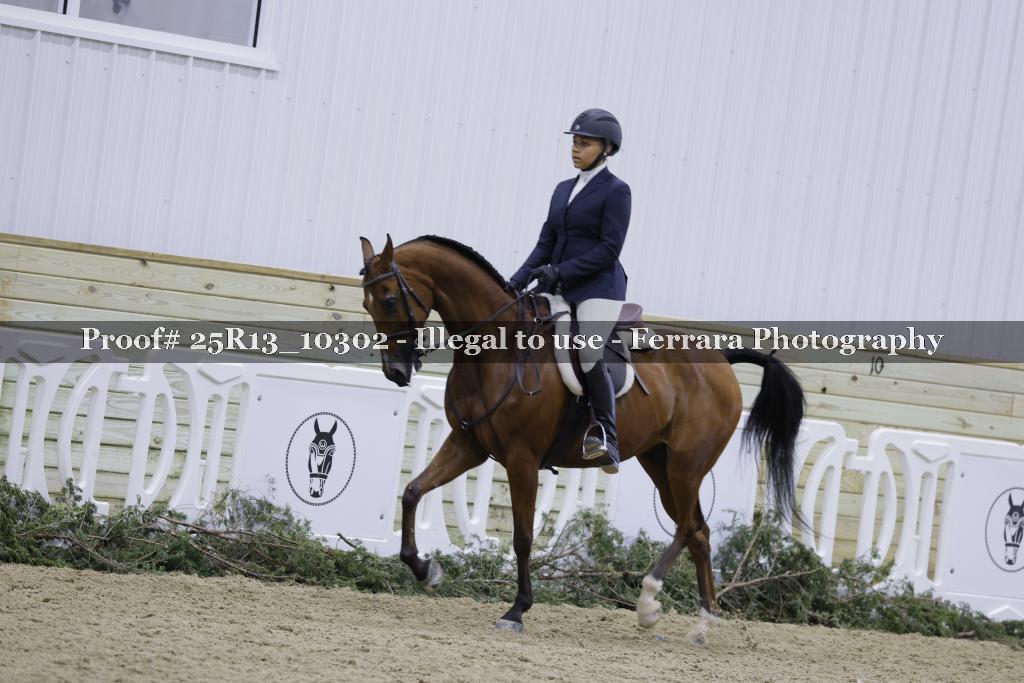 Proof Number 25R13_10302