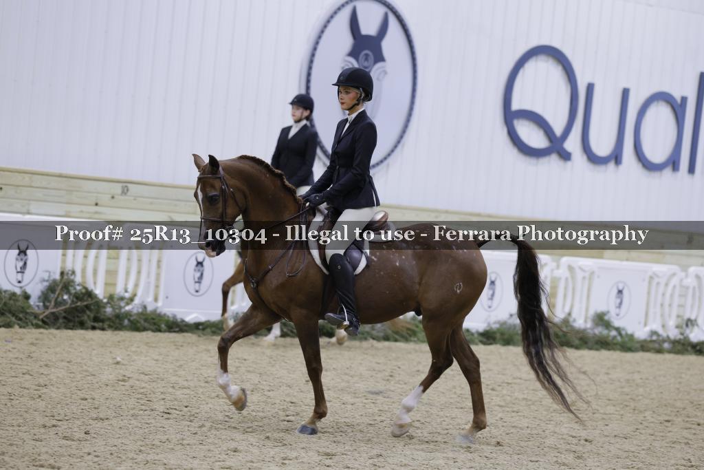 Proof Number 25R13_10304