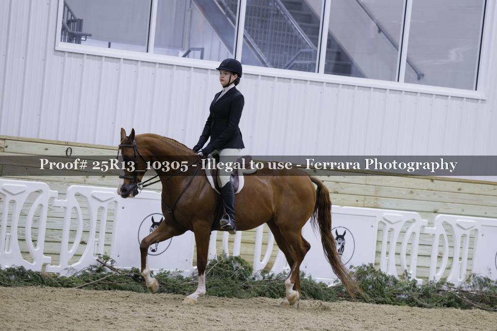 Proof Number 25R13_10305