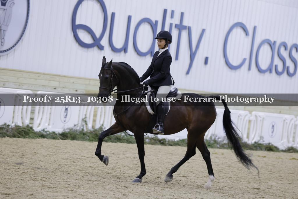 Proof Number 25R13_10308