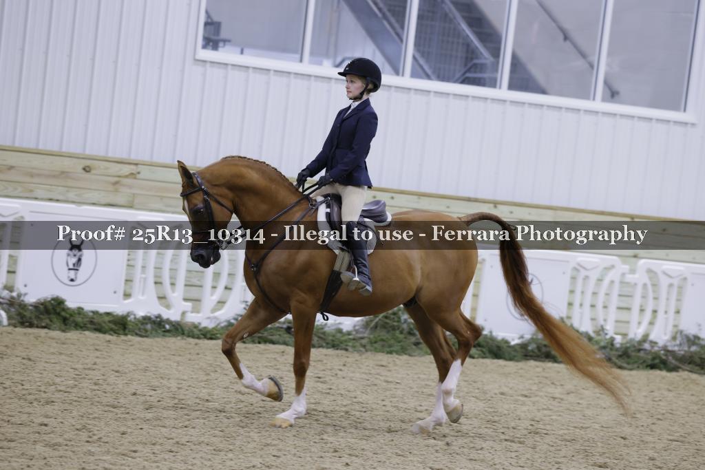 Proof Number 25R13_10314