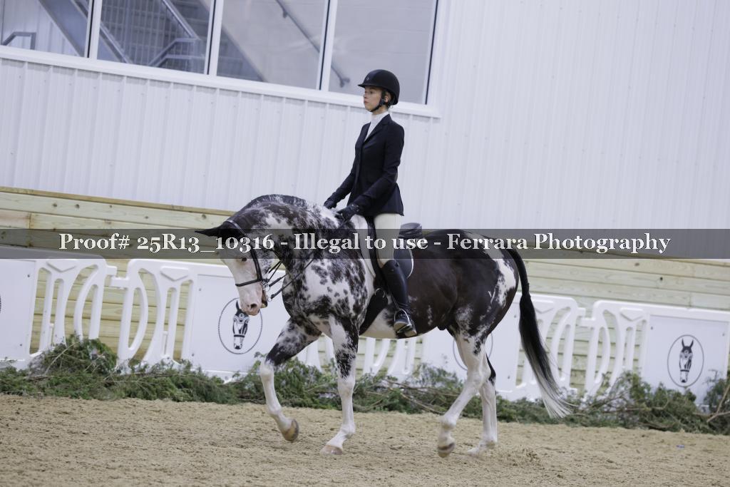 Proof Number 25R13_10316