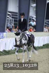 25R13_10328 thumbnail