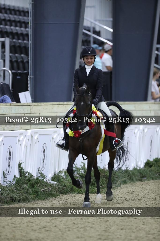 Proof Number 25R13_10342