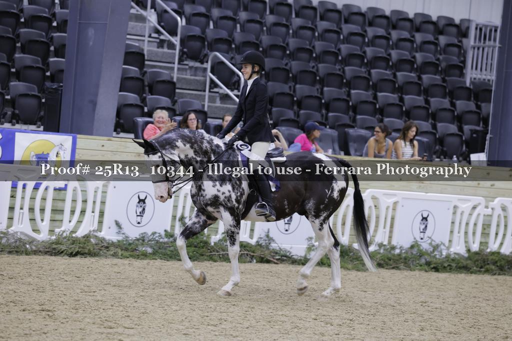 Proof Number 25R13_10344
