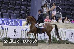 25R13_10358 thumbnail