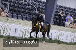 25R13_10361 thumbnail